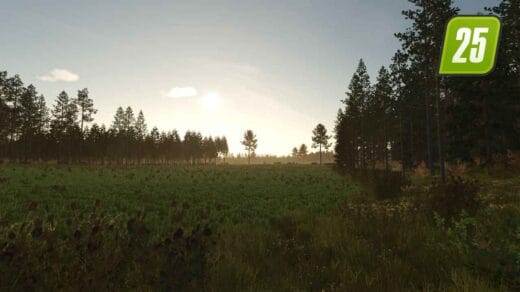 Kivi Küla