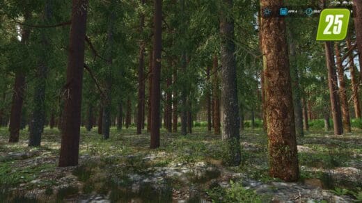 Southern Logging