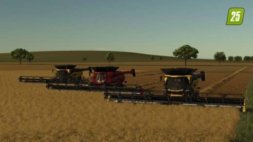 Kansas 16x