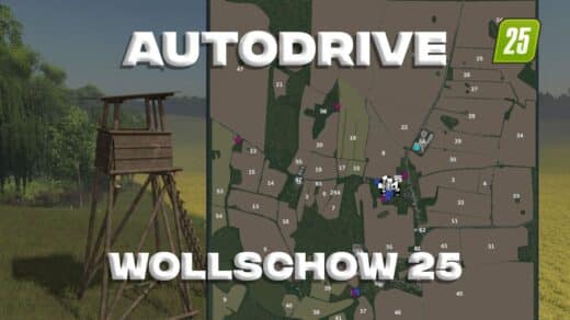Autodrive Wollschow 25