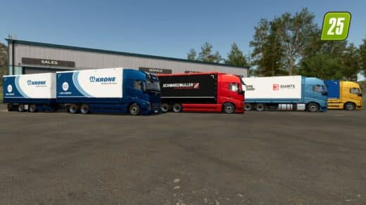 VOLVO FH16 TANDEM3 (1)