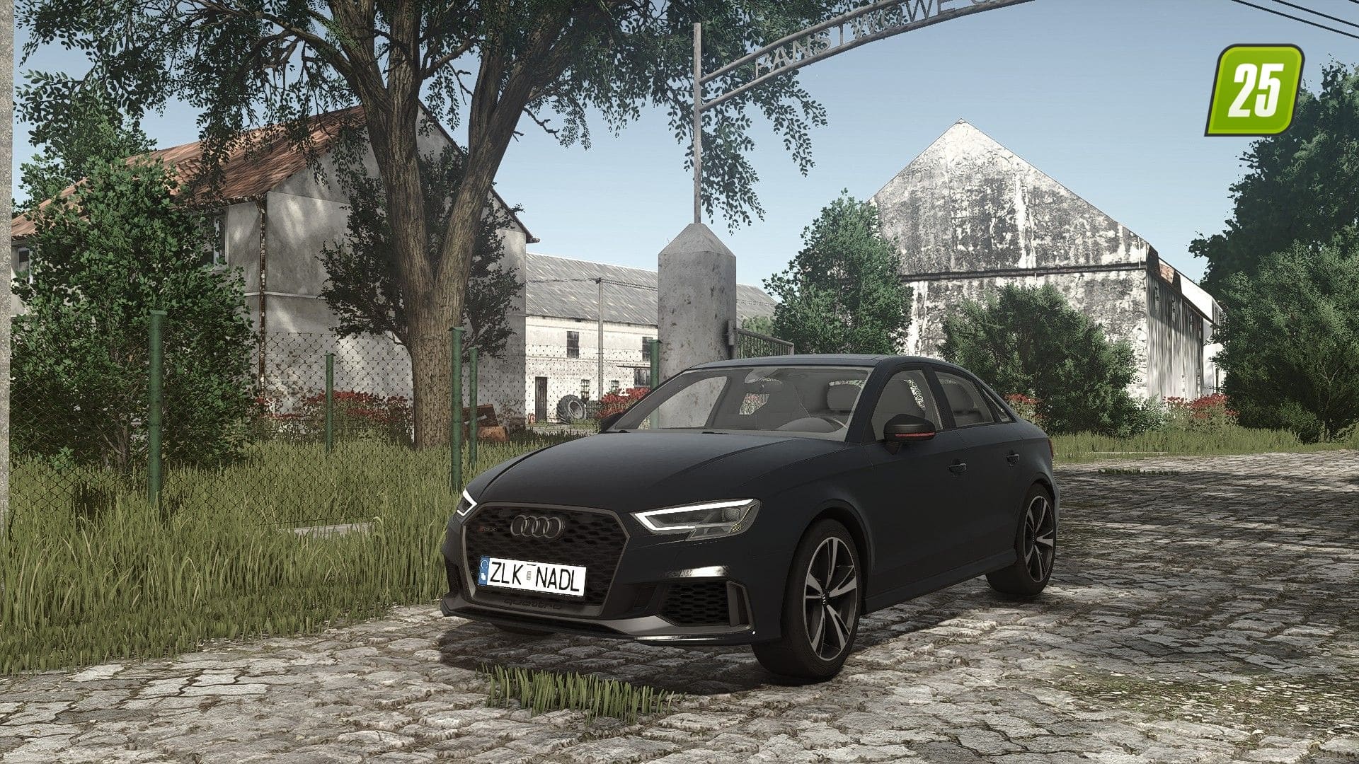 Audi RS3