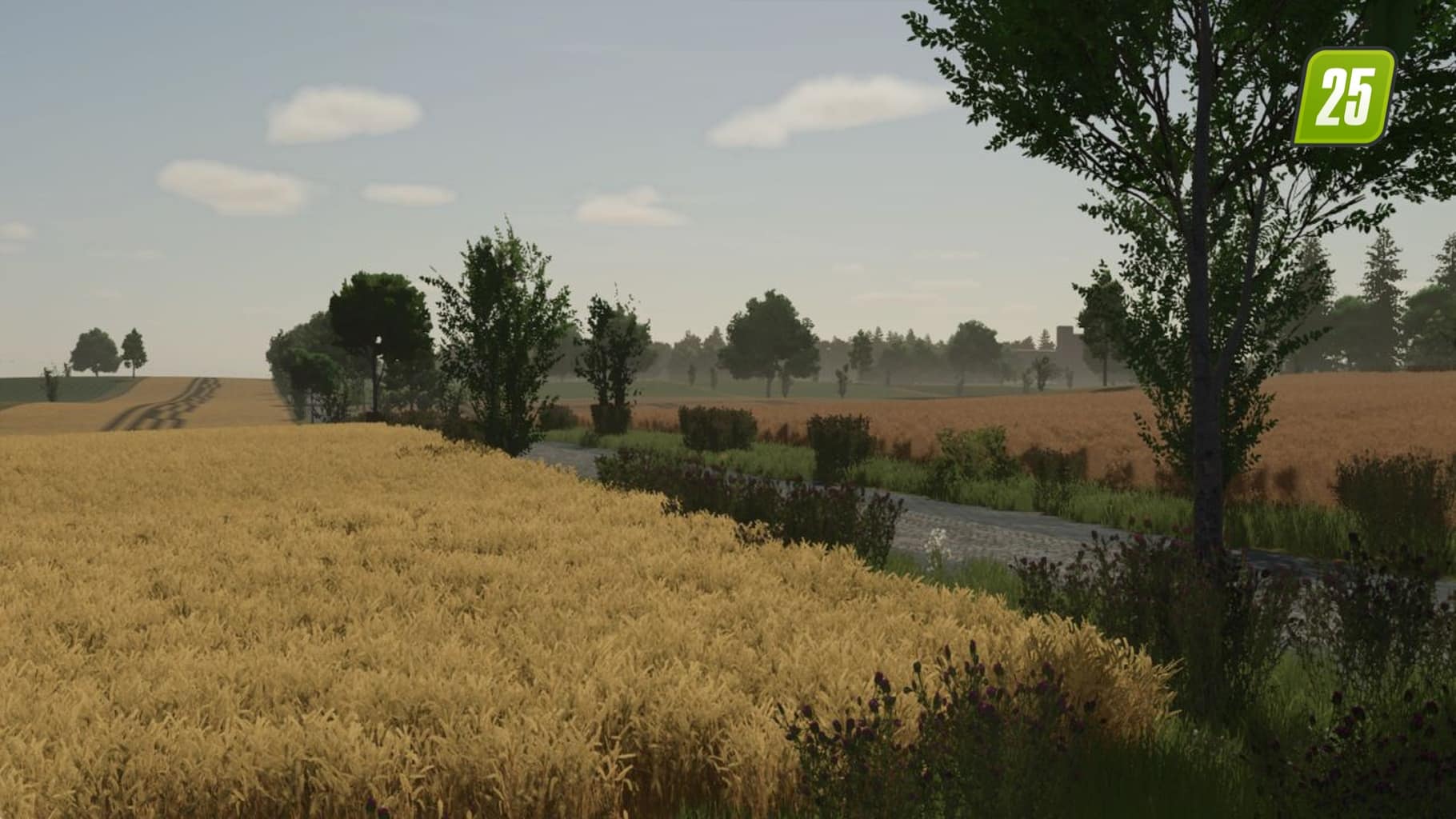 Borowiny3 (1)