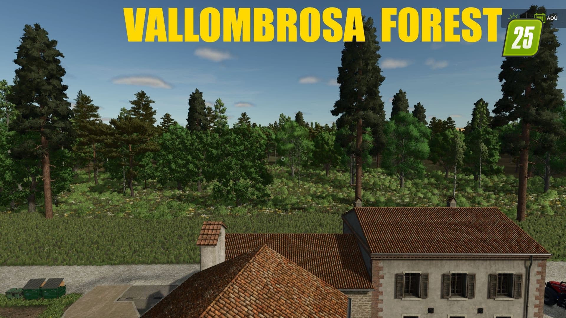Vallombrosa Forest