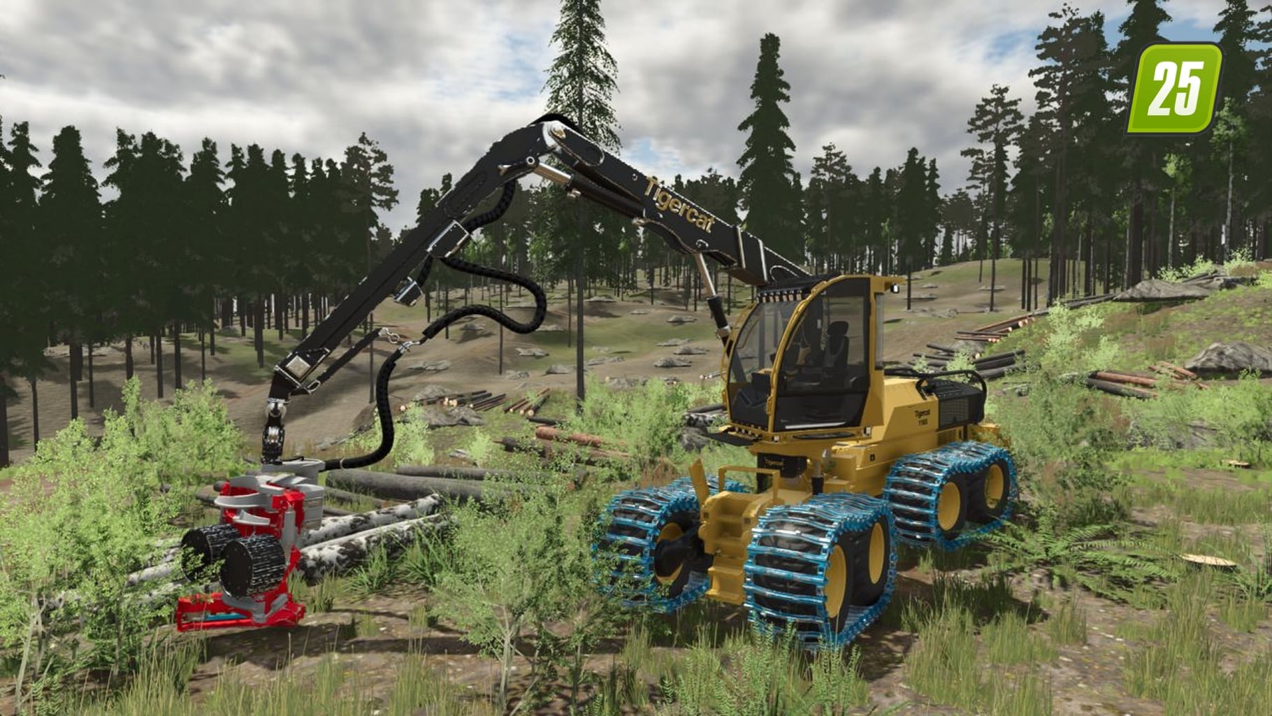 Tigercat 1165