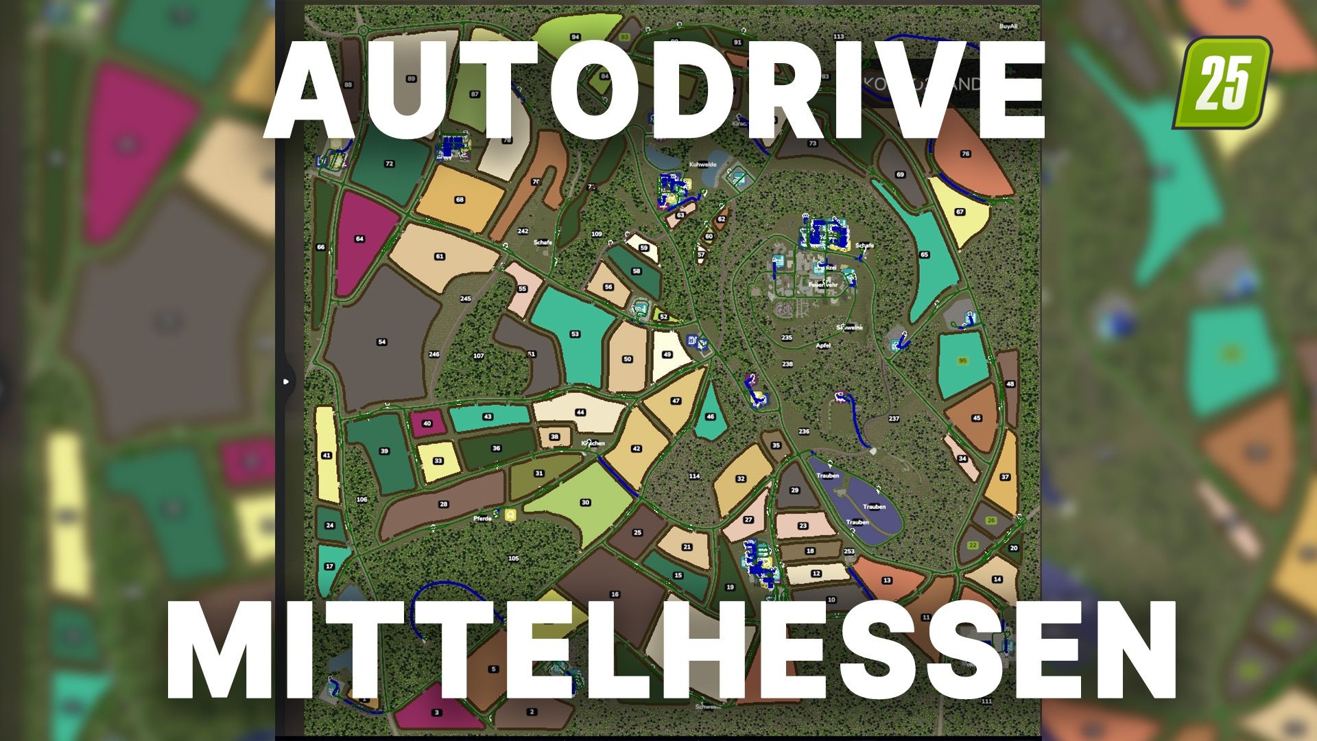 Autodrive Mittelhessen3 (1)