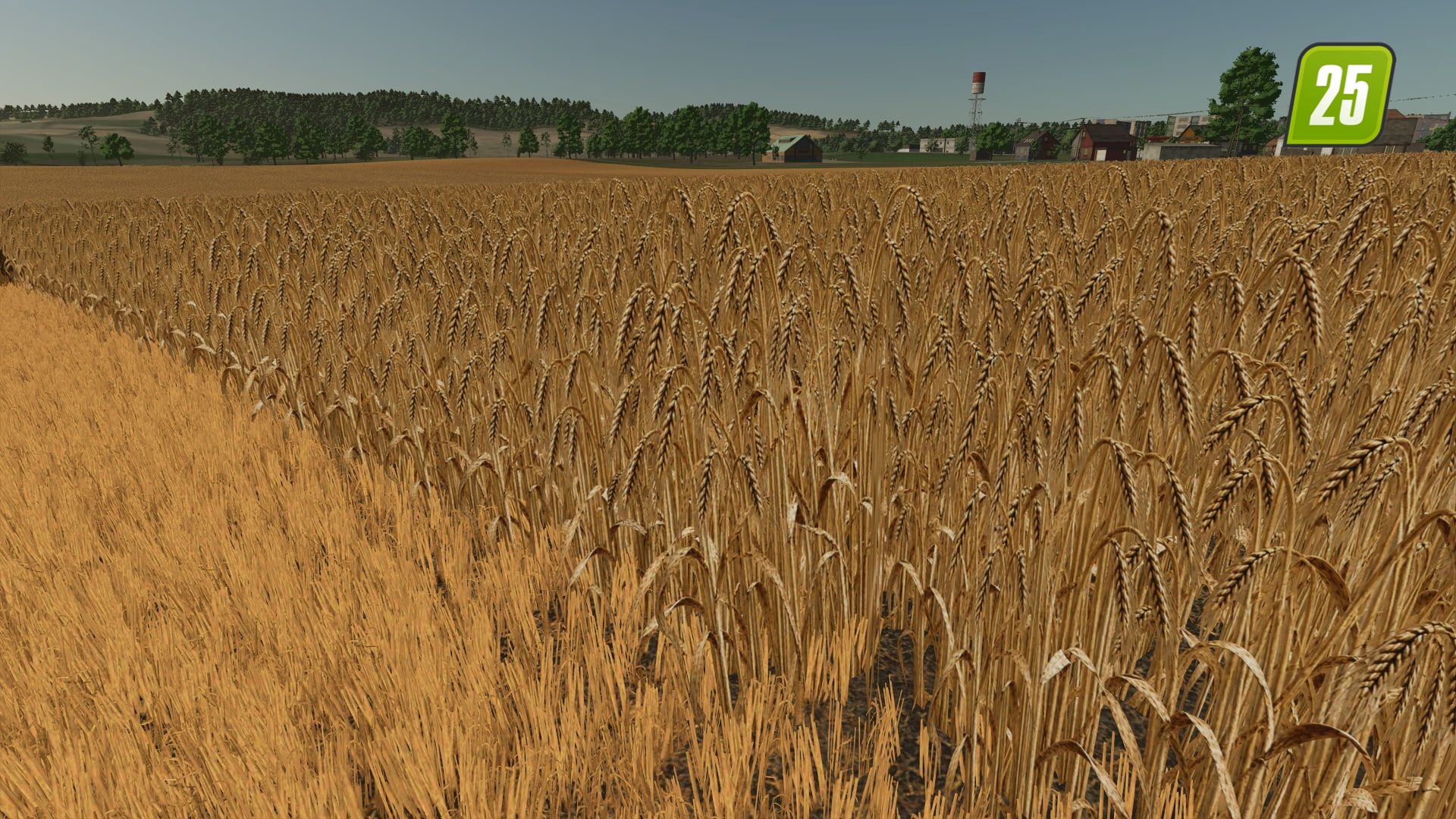 Realistische Gerstentextur4 (1)
